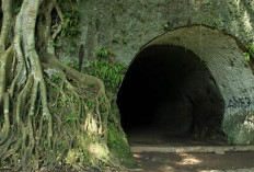 Warner dan Losche Tentara Jepang Yang Beralih Bela Indonesia