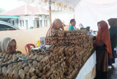 Pekan Koto Jaya Mukomuko, Semua Harga Naik Sedang Harga Sawit Turun