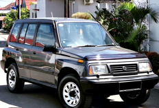 3 Motuba Merek Suzuki yang Masih Banyak Dicari