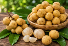 Manfaat Buah Duku bagi Kesehatan: Buah Manis Tropis yang Kaya Vitamin dan Mineral