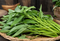 Manfaat Kangkung bagi Kesehatan: Sayuran Hijau Lokal dengan Kandungan Nutrisi Menyehatkan