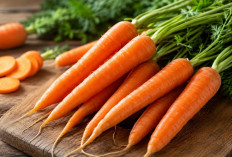 Manfaat Wortel bagi Kesehatan: Sayuran Oranye Kaya Nutrisi untuk Tubuh Sehat