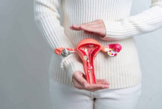 Makanan untuk Kesehatan Rahim: Kaya Antioksidan dan Nutrisi Penting!