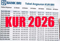Cicilan KUR Rp 20 Juta, Rp 50 Juta dan Rp 100 Juta Berikut Syarat Pinjam ke BRI