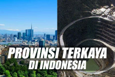 7 Daerah Provinsi Terkaya di Indonesia, PDRB Per Kapita Segini