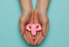 Vaksin HPV: Pencegahan Kanker Serviks yang Efektif!