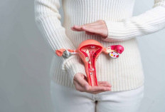 Makanan untuk Kesehatan Rahim: Kaya Antioksidan dan Nutrisi Penting!