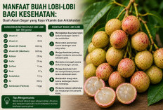 Manfaat Buah Lobi-Lobi bagi Kesehatan: Buah Asam Segar yang Kaya Vitamin dan Antioksidan