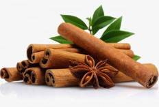Kayu Manis: Lebih dari Sekadar Bumbu Kue, Rempah Ajaib dengan Segudang Khasiat!