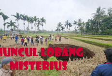 Muncul Lobang Besar di Sumbar Bikin Warga Was-Was, Begini Kondisi dan Penjelasan Lengkapnya