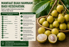 Manfaat Buah Namnam bagi Kesehatan: Buah Langka Indonesia yang Kaya Vitamin dan Serat