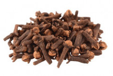 Cengkeh: Rempah Pilihan untuk Hidup Sehat dan Alami!