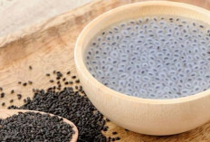 Selasih: Tanaman Herbal Serbaguna yang Bikin Minuman Lebih Segar dan Aromatik