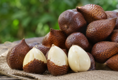 Manfaat Buah Salak bagi Kesehatan: Buah Unik Nusantara dengan Kandungan Nutrisi Menyehatkan