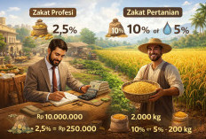 Persentase Zakat Profesi dan Pertanian Menurut Islam, Lengkap dengan Cara Hitungnya