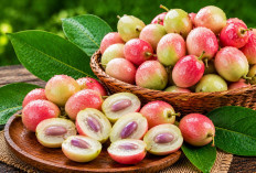 Manfaat Buah Namnam bagi Kesehatan: Kaya Vitamin C yang Membantu Menjaga Daya Tahan Tubuh