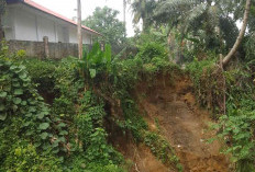 Terdampak Longsor, Bangunan Rawat Inap Puksesmas Lubuk Pinang Terancam Terjun ke Jurang
