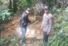 Harimau Ditemukan Mati di Bukit Makmur Mukomuko