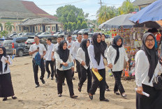 Segera Terima SK Sebagai ASN, Ini Fakta PPPK Paruh Waktu Mukomuko Yang Perlu Dipahami