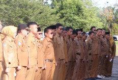 ASN Resmi Terapkan Kerja Dari Rumah, Berikut Ketentuannya