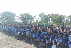 Belanja Pegawai Maksimal 30 Persen, PPPK Paruh Waktu Mukomuko Juga Terancam Dirumahkan