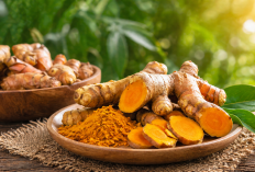 Manfaat kunyit bagi Kesehatan: Rempah Dapur dengan Khasiat Luar Biasa