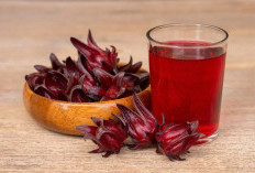 Perisai Merah Alami: Menguak Manfaat Rosela dalam Memperkuat Imunitas dan Menangkal Radikal Bebas