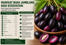 Manfaat Buah Jamblang bagi Kesehatan: Buah Ungu Kaya Antioksidan yang Baik untuk Tubuh