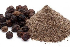 Manfaat Lada Hitam untuk Meningkatkan Sistem Kekebalan Tubuh: Lawan Radikal Bebas dengan Alami!