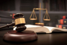 Ini Penjelasan Perbedaan Hukum Pidana, Perdata, dan Hukum Tata Negara