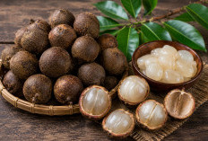 Manfaat Buah Lahung bagi Kesehatan: Buah Hutan Kalimantan yang Kaya Antioksidan Alami