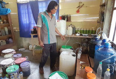 Pelopor Pertanian Organik Mukomuko, Tembus Forum Nasional