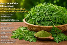 Manfaat Brokoli bagi Kesehatan: Kaya Sulforaphane yang Baik untuk Melindungi Sel Tubuh