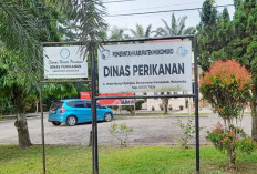 Dinas Perikanan Tunda Bantuan untuk Nelayan Tahun 2026