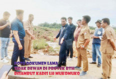 Kadis LH Mukomuko 'Dipecat', Diduga Imbas Pengusutan Proyek Ruang Terbuka Hijau Anggaran 2024