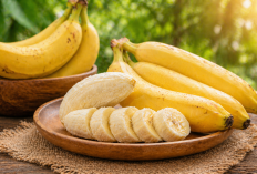 Manfaat buah pisang bagi Kesehatan: Sumber Energi Praktis dan Bergizi