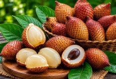 Manfaat Buah Kelubi bagi Kesehatan: Kerabat Salak yang Kaya Vitamin C dan Antioksidan