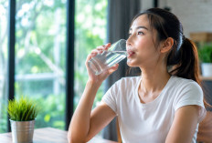 Manfaat Minum Air Putih bagi Kesehatan: Kebiasaan Sederhana yang Penting untuk Menjaga Fungsi Tubuh