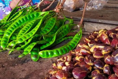 Manfaat Makan Jengkol dan Petai Untuk Tubuh, Berikut Efek Sampingnya