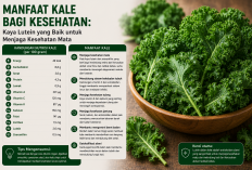 Manfaat Kale bagi Kesehatan: Kaya Lutein yang Baik untuk Menjaga Kesehatan Mata