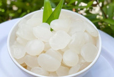 Khasiat Kolang Kaling untuk Kesehatan dan Cara Mengonsumsinya Secara Optimal