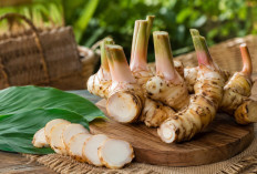 Manfaat Lengkuas bagi Kesehatan Rempah Dapur Tradisional dengan Khasiat Luar Biasa