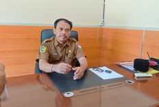 Mutasi Besar-Besaran Bakal Berlangsung, Menjadi Ajang Promosi Jabatan ASN Mukomuko