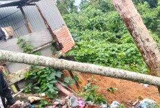 Beberapa Rumah di Desa Arah Tiga Terendam Banjir dan Rusak Berat Akibat Longsor 