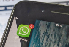 Mau Tahu Kondisi Pacar, Teman atau Anak, Begini Cara Memantaunya Lewat WhatsApp