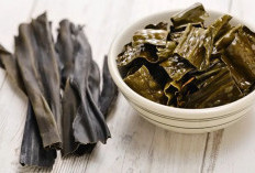 Rumput Laut: Superfood Biru, Solusi Sehat dan Hijau bagi Masa Depan Dunia