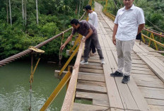 Camat Selagan Raya Tinjau Jembatan Gantung Rusak, Pasang Tanda Bahaya