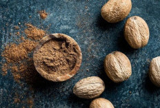 Tips Memilih dan Menyimpan Buah Pala yang Berkualitas: Aroma Kuat dan Tidak Berjamur!