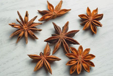 Bunga Lawang: Bukan Sekadar Bumbu Masakan, Rahasia Pengobatan Tradisional yang Terlupakan!