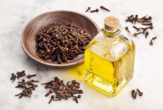 Cengkeh dalam Kuliner dan Pengobatan Tradisional: Warisan Budaya Indonesia!